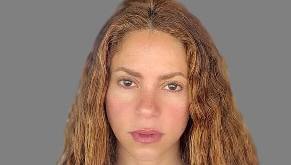 Shakira es una cantante colombiana muy conocida a nivel internacional (Foto: Shakira/Instagram)