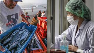 Coronavirus y fin de temporada de pesca afectarían a la economía en primer trimestre de este 2020