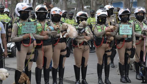 El Mininter detalló que el Escuadrón Orejitas estará adscrito a la Dirección de Tránsito, Transporte y Seguridad Vial de la PNP. (Foto: Ministerio del Interior)