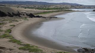 Las lluvias que favorecen en Piura: El reverdecer de la Reserva Nacional de Illescas