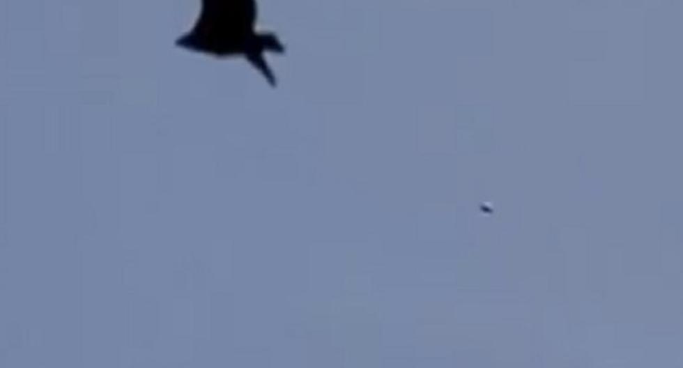 Ovni fue grabado detrás de un águila. (Foto: captura)