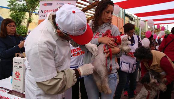 La Libertad: unos 1.800 perros serán vacunados contra la rabia