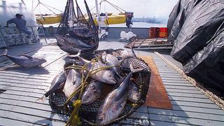 Perú irá a reunión de CIAT sin haber repartido su cuota de atún