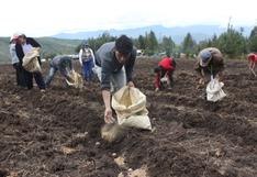 Minagri: sector agropecuario crecería 4% en 2020 por impulso a la agricultura familiar 