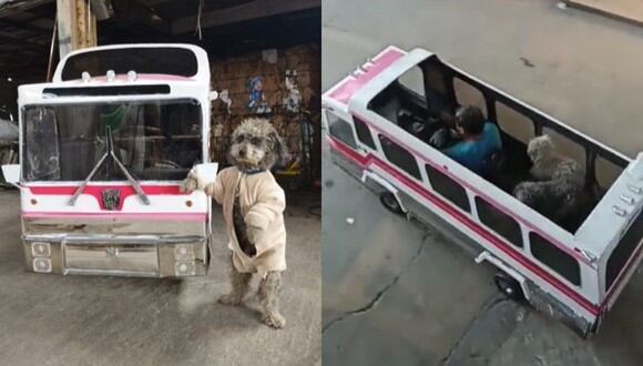El 'perrobus' tiene capacidad para llevar a unos 4 perritos de paseo. (Foto: @joseriveromendez/TikTok)