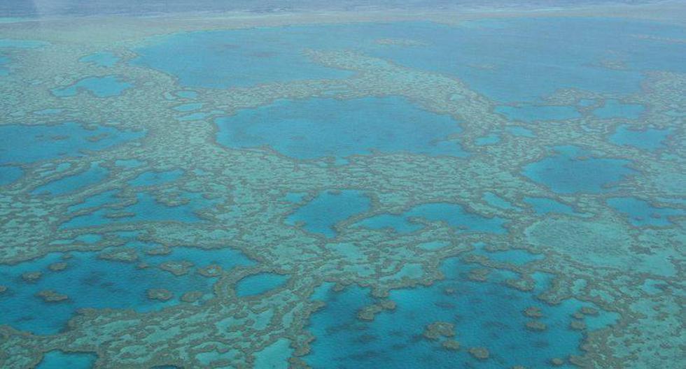La Gran barrera de coral de Australia, Patrimonio de la Humanidad. (Foto: Roberta W.B./Flickr)