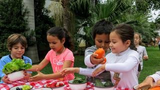 Verduras y frutas: ¿cómo hacer que un niño las coma? [FOTOS Y VIDEO]