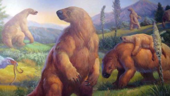 El scelidotherium leptocephalum era una especie de oso perezoso gigante.(Foto referencial: Captura de pantalla)