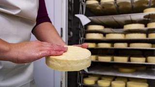 México suspendió venta de quesos de 19 marcas y dos yogures por engaño en el etiquetado