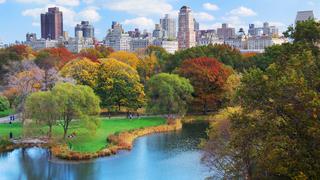 Nueva York:  Central Park abre una sección secreta