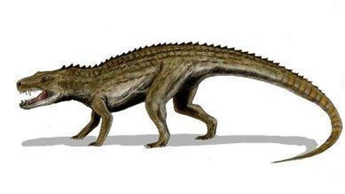 horario Sofocante comedia Los cocodrilos gigantes que aterrorizaron a los dinosaurios en el Triásico  | TECNOLOGIA | EL COMERCIO PERÚ