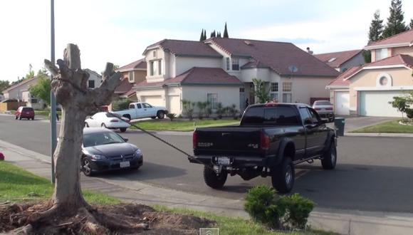 VIDEO: Arranca un árbol con una pick up