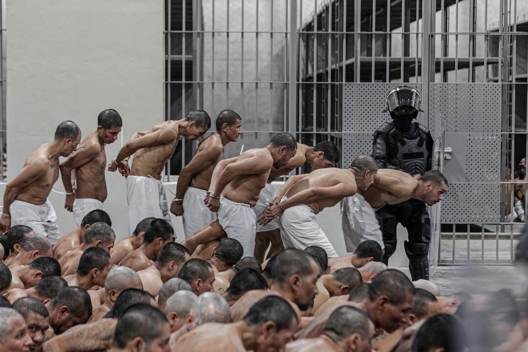 Bukele's prison policy has drawn international attention.  (EL SALVADOR PRESIDENCY VIA GETTY IMAGES).