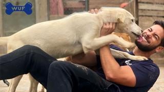 Andrés Wiese llevó comida a decenas de perros sin hogar