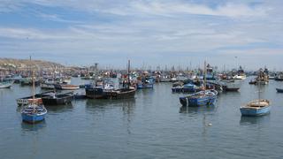 Produce elevó la tasa de derechos de pesca de anchoveta a 0,43%