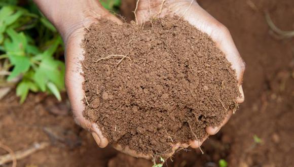 Geofagia, el deseo de comer tierra