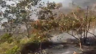 Junín: dos muertos dejó un incendio forestal en el distrito de San Ramón