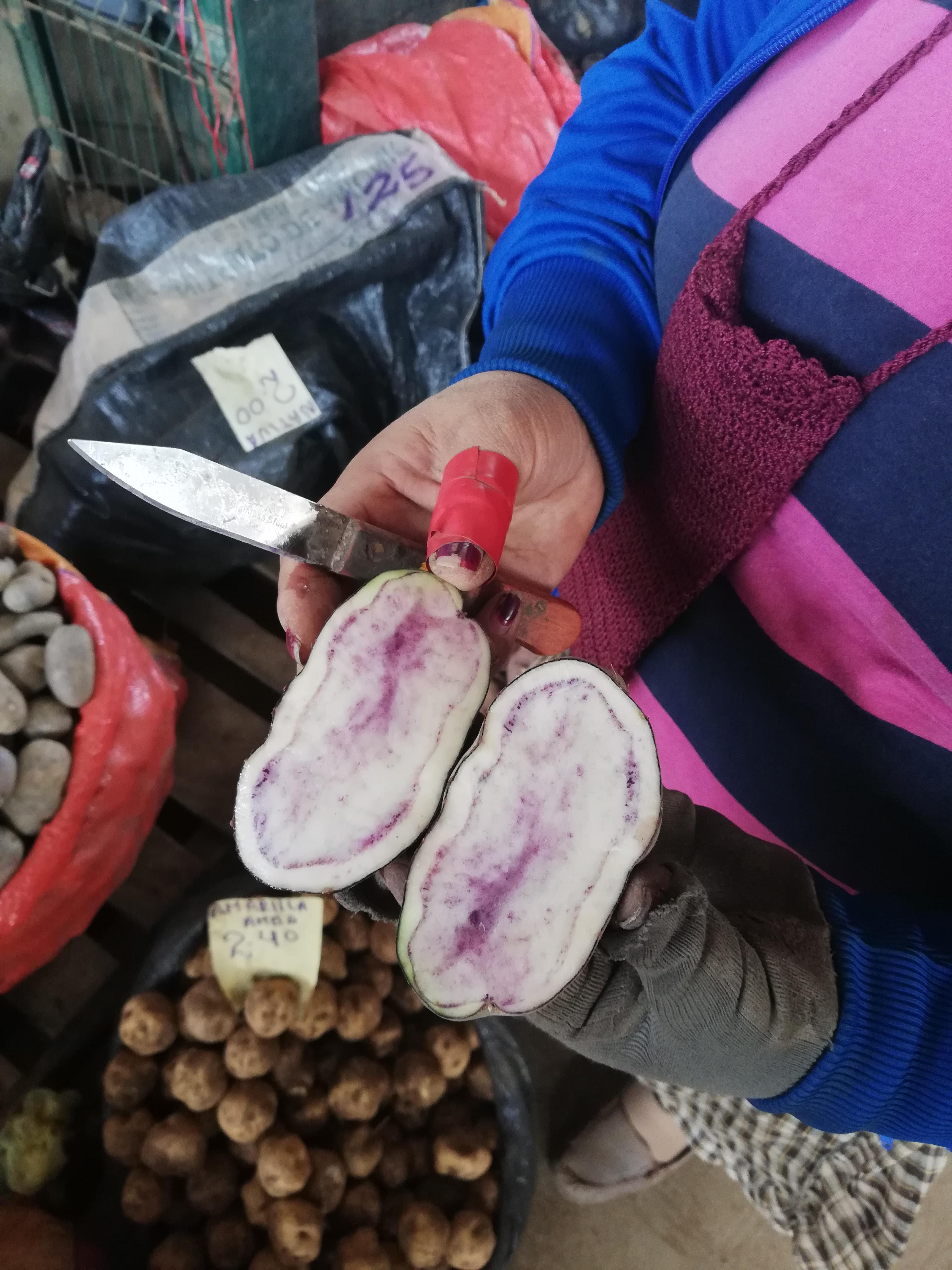 Perú podría exportar papas nativas, sostiene Rolando Egúsquiza, profesor principal de la Universidad Nacional Agraria La Molina.