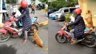 Facebook viral: perritos causan sensación en las redes por viajar como pasajeros en una moto