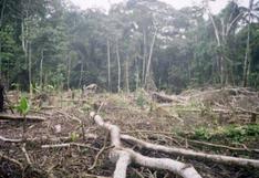 Perú: deforestación de la Amazonía es menor en áreas tituladas a indígenas