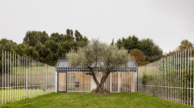 Esta casa tiene espacio para una persona y un árbol - 1