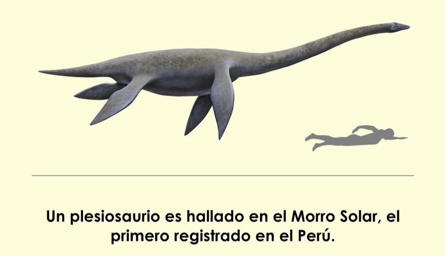 Los plesiosaurios llegaron a convivir con los dinosaurios. (Foto: UNMSM)