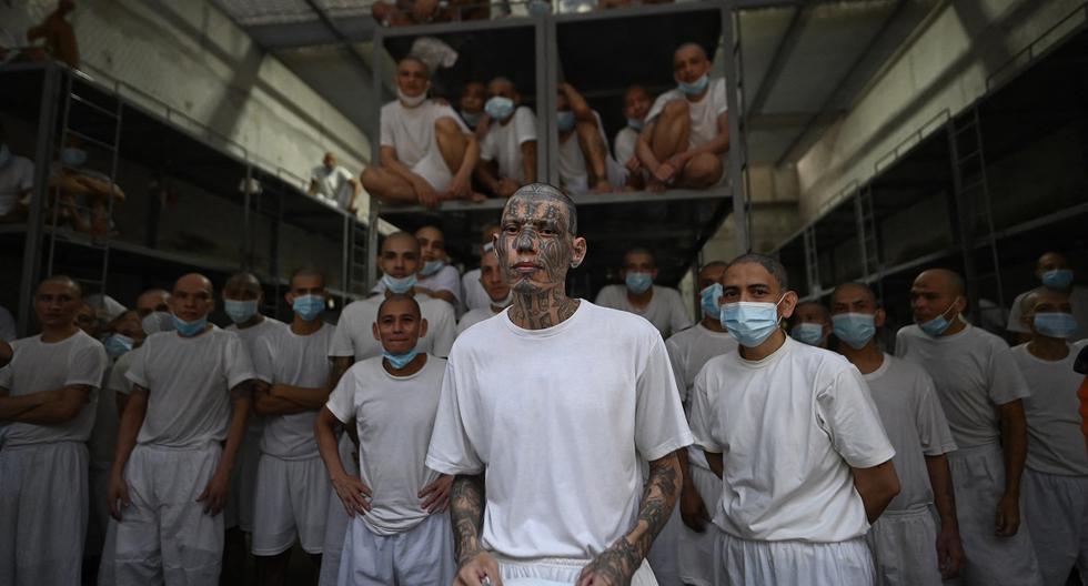 The El Salvador Prosecutor’s Office requests the trial of more than 1,200 members of the MS-13 gang