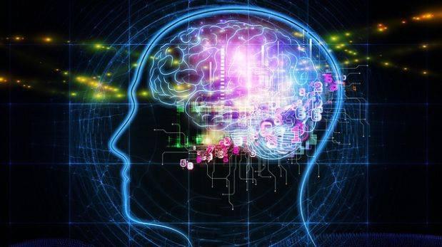 Crean modelo matemático que identifica los genes de la memoria