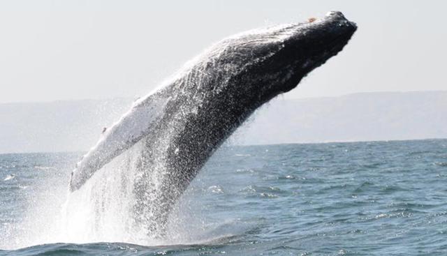 (Foto: Promperú/ Renzo Tasso)