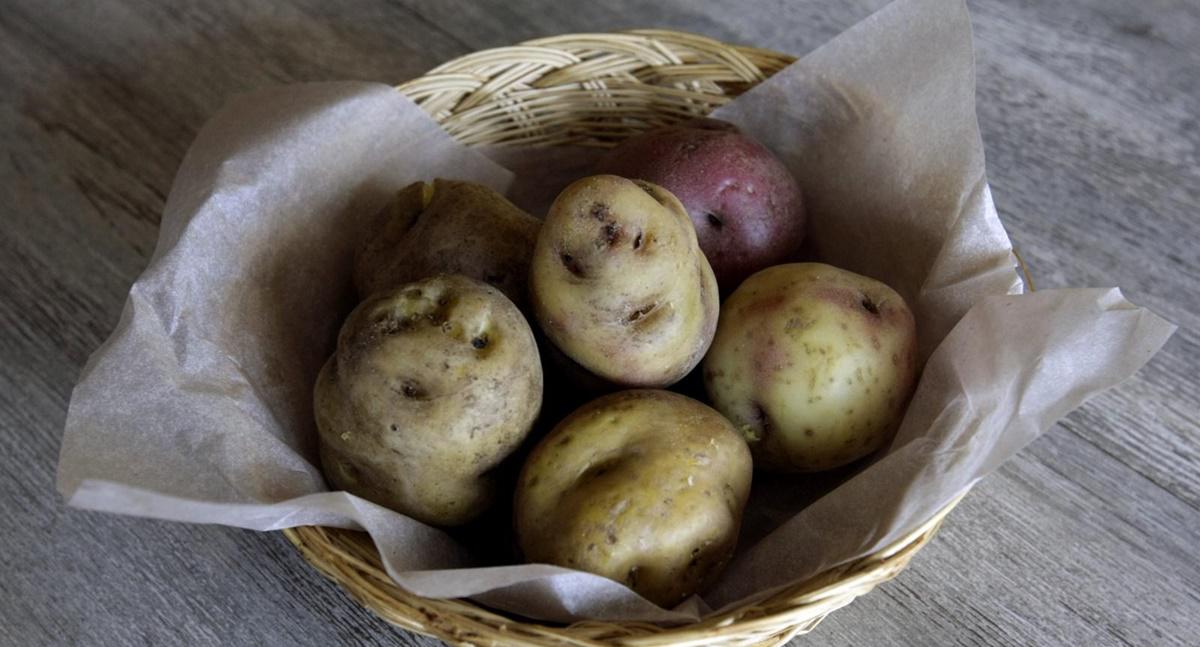 En el Perú, existen 600 mil productores de papa. Esta campaña los precios en chacra están entre S/0,30 y S/0,50 por kilo, lo que no cubre el costo de producción, que llega a S/0,70/kg en promedio, informan gremios del sector. (Foto: Nancy Dueñas)