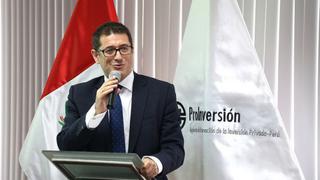 ProInversión: Red Eléctrica ganó buena pro de línea eléctrica