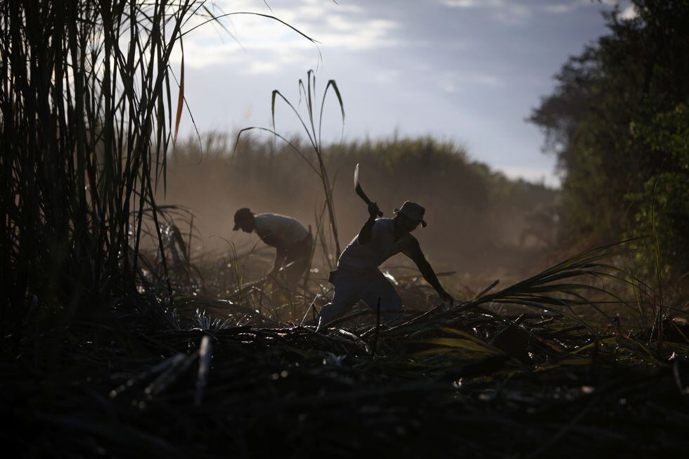 In this Friday, Jan. 20, 2012 photo, two men work in the fields of the San Antonio sugar mill in Chichigalpa, Nicaragua. A mysterious epidemic is devastating the Pacific coast of Central America, killing more than 24,000 people in El Salvador and Nicaragua since 2000 and striking thousands of others with chronic kidney disease at rates unseen virtually anywhere else. Many of the victims were manual laborers or worked in the sugarcane fields that cover much of the coastal lowlands. (AP Photo/Esteban Felix)