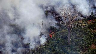 Se declaran cientos de nuevos incendios en la Amazonía de Brasil | FOTOS