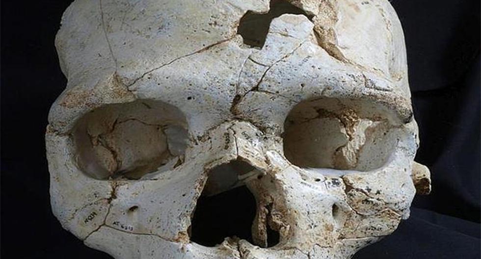 Este cráneo sería parte del crimen más antiguo de la historia. (Foto: Madrid Scientific Films)