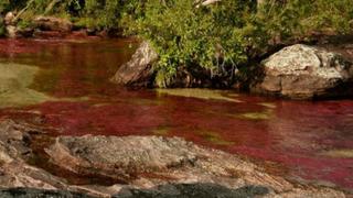 Colombia: Suspenden explotación del "río más bonito del mundo"