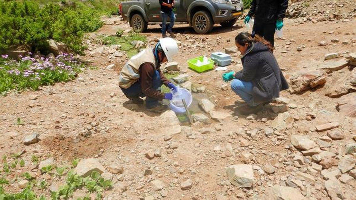 El OEFA inició el pasado 31 de octubre la supervisión del proyecto Tía María. (Foto: Minam)