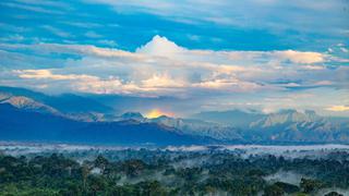 ¿Qué especies conserva Codo de Pozuzo, el lugar que podría convertirse en la nueva área protegida del Perú?