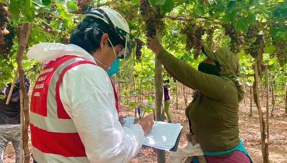 El número de días para calcular la remuneración diaria fue incrementado de 25 a 30 entre ambas propuestas. (Foto: GEC)