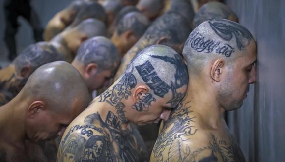 Reos pertenecientes a las pandillas MS-13 y Barrio 18 en el nuevo penal Centro de Confinamiento de Terroristas (CECOT), en Tecoluca, El Salvador, el 24 de febrero de 2023. (AFP).