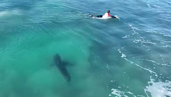 El desconcertante vídeo de un tiburón nadando cerca de unos surfistas que no se percataban de su presencia | Foto: Nathan Florence / YouTube
