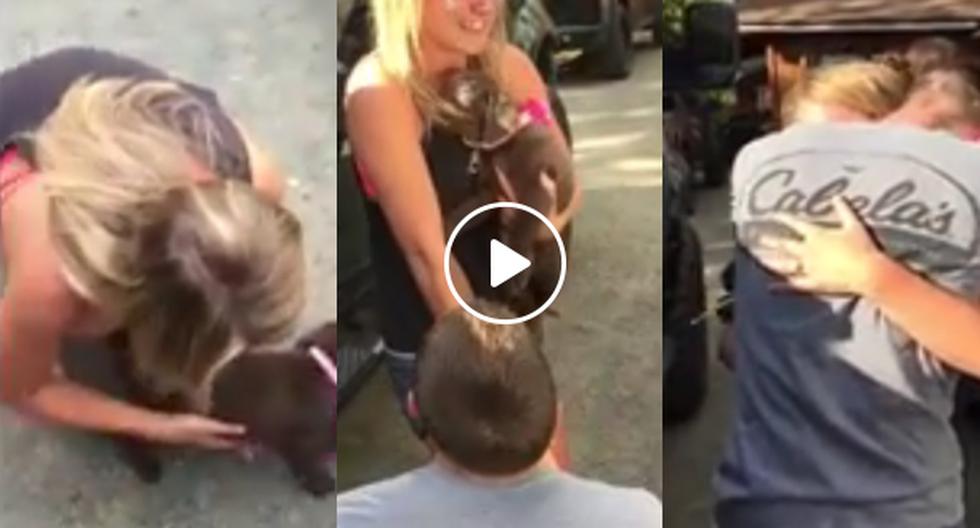 En este video de YouTube podremos apreciar la petición de boda más conmovedora de todas gracias a la creatividad de un hombre con un perrito. (Foto: captura)