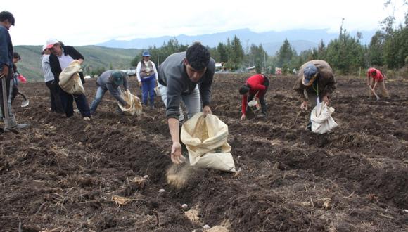 El FAE-Agro busca impulsar la agricultura familiar. (Foto: GEC)