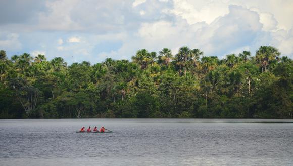 El río Amazonas también es hábitat de la nutria gigante, las pirañas y el caimán negro.   Foto: Shutterstock