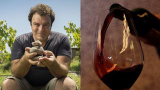 Alejandro Vigil: “El vino es mucho más que una bebida, lo vinculo más con una cultura”