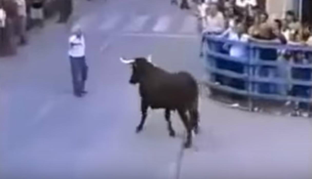Asistentes de una actividad al aire libre se llevaron una gran sorpresa al ver la reacción del bovino. (Foto: Captura/YouTube)