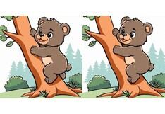 Encuentra las 3 diferencias entre estas adorables imágenes de koalas en menos de 13 segundos