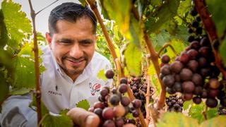 Salón del Vino Peruano: conoce las regiones vitivinícolas del Perú