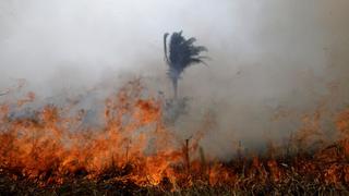 "Siempre hubo incendios, pero nunca incentivados por el discurso de un gobierno"