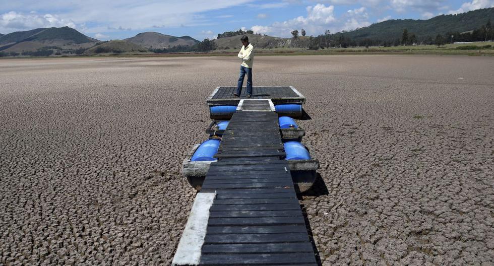 El ingeniero colombiano Hernán Sandino se encuentra en la laguna de Suesca, que se secó debido a una fuerte sequía producida por el cambio climático desde el 2012. (RAUL ARBOLEDA / AFP).