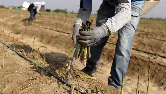 El Gobierno busca empadronar a los agricultores del país. (Foto: GEC)